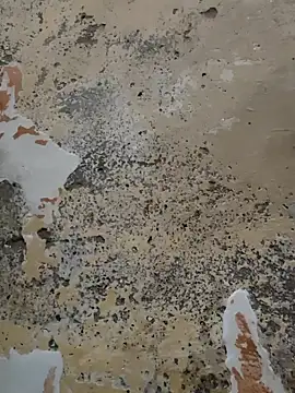 urrubybaby online show from 02/21/25, 05:31