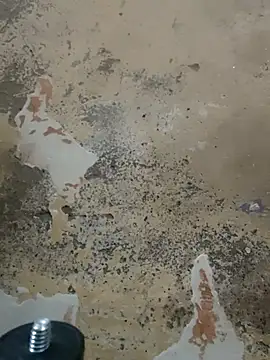 urrubybaby online show from 02/22/25, 04:09