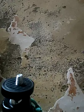 urrubybaby online show from 02/24/25, 11:54