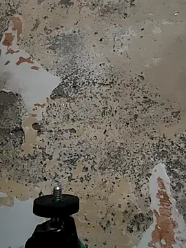 urrubybaby online show from 03/11/25, 06:32