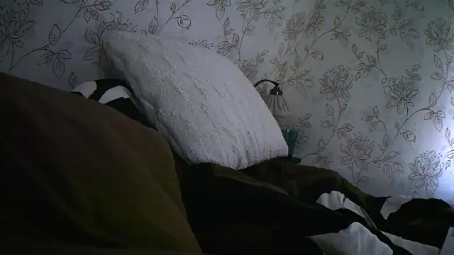 Teemu online show from 09/27/25, 02:33