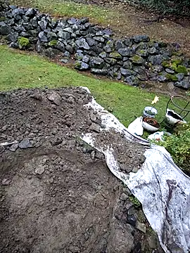 Snapshot of KingSlim56 chatting on 11/15/25, 08:16 KingSlim56 online show from 11/15/25, 08:16