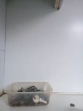 Snapshot of xxTatiannaxx chatting on 02/28/25, 12:09 xxTatiannaxx online show from 02/28/25, 12:09