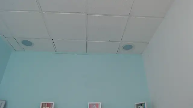 Sunshine gh1 online show from 05/25/26, 11:27
