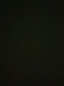 464a-err online show from 11/12/25, 04:40