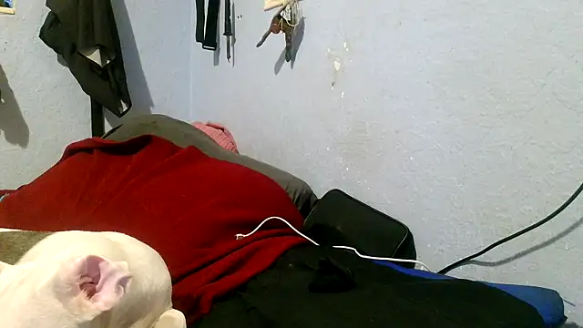 Snapshot of PornStro921 chatting on 05/03/26, 04:02 PornStro921 online show from 05/03/26, 04:02