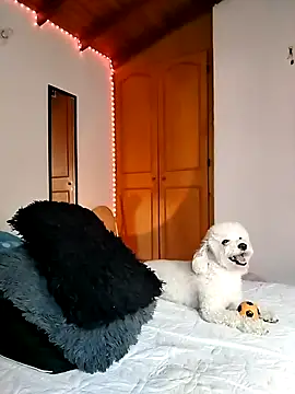 Snapshot of morenosiam chatting on 11/23/25, 09:36 morenosiam online show from 11/23/25, 09:36