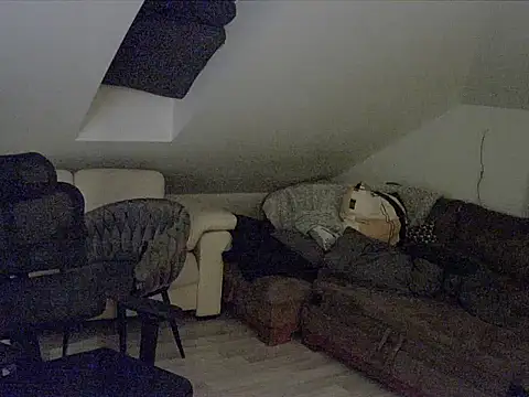 Snapshot of gryzoon chatting on 10/11/25, 12:43 gryzoon online show from 10/11/25, 12:43