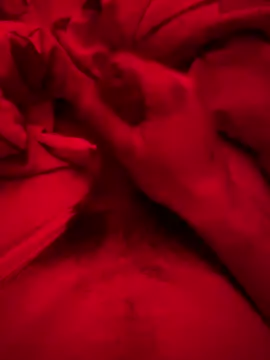 Snapshot of ruchacz24 chatting on 03/06/25, 02:51 ruchacz24 online show from 03/06/25, 02:51