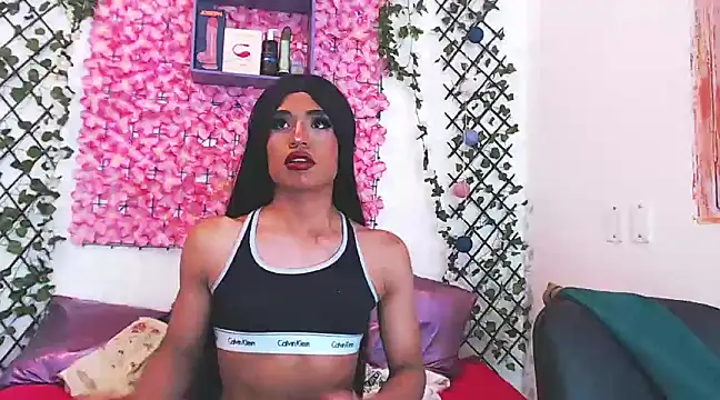 willians   0 online show from 03/19/25, 06:46