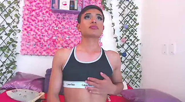 willians   0 online show from 03/19/25, 09:49