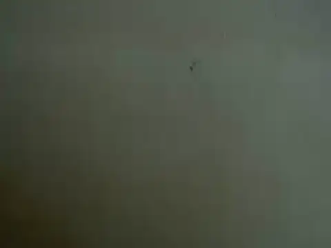 mayra89 online show from 03/29/26, 08:25