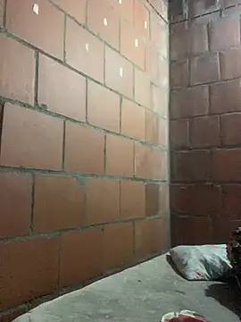 sex room 1608 online show from 05/16/26, 02:41