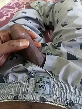 Snapshot of Tn_localboy69 chatting on 09/29/25, 02:16 Tn localboy69 online show from 09/29/25, 02:16