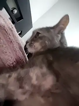 mialorents online show from 11/23/25, 06:52