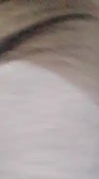 Snapshot of patrona_sexooo chatting on 03/09/25, 08:42 patrona sexooo online show from 03/09/25, 08:42