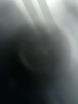 Snapshot of Gotabodiee chatting on 11/13/25, 12:59 Gotabodiee online show from 11/13/25, 12:59