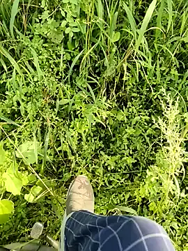 himvilohi08 online show from 10/11/25, 10:03