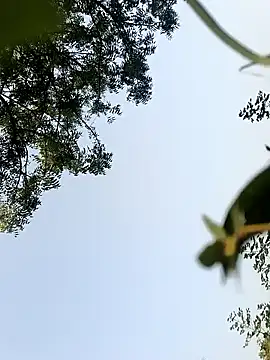 himvilohi08 online show from 10/22/25, 10:26