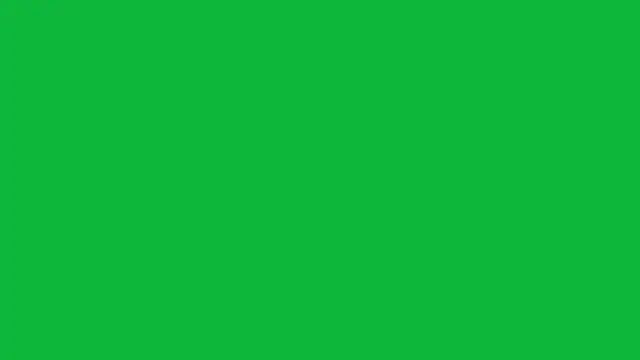 emlana online show from 02/26/25, 08:33