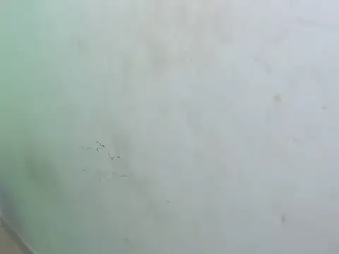 dirty megan22 online show from 03/23/25, 02:59