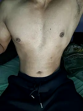 Snapshot of HARSHHU01 chatting on 11/17/25, 05:52 HARSHHU01 online show from 11/17/25, 05:52