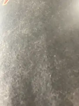 anthonyroth online show from 11/06/25, 08:54