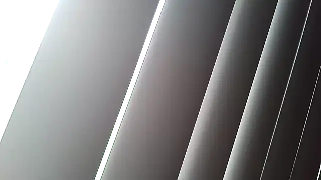 Snapshot of shurthingx chatting on 05/27/26, 11:46 shurthingx online show from 05/27/26, 11:46