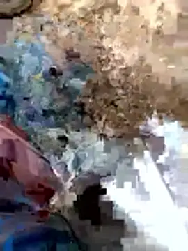 A-1PLAYBOY0 online show from 05/16/26, 06:54