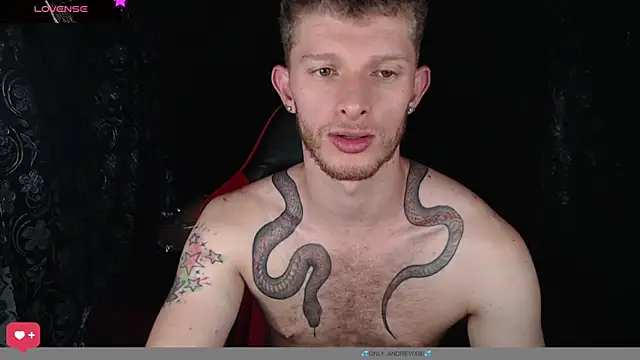 Snapshot of andrewxbi chatting on 04/01/26, 01:41 andrewxbi online show from 04/01/26, 01:41