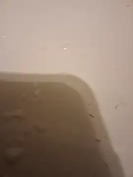 moasslicker online show from 10/21/25, 04:46