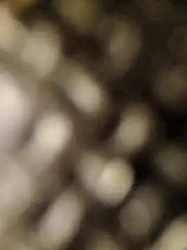 geilerschwanz556r7 online show from 09/30/25, 08:52