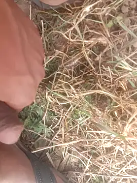 Snapshot of perplexedsoul chatting on 12/01/25, 09:14 perplexedsoul online show from 12/01/25, 09:14