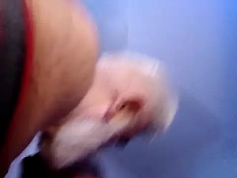 Snapshot of CloudyMuscleBeefy chatting on 11/26/25, 05:58 CloudyMuscleBeefy online show from 11/26/25, 05:58