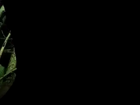 Snapshot of ConfidedAward chatting on 09/13/25, 11:21 ConfidedAward online show from 09/13/25, 11:21