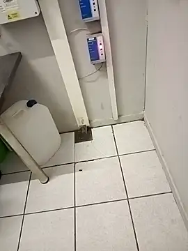 paptsimo online show from 11/25/25, 02:44