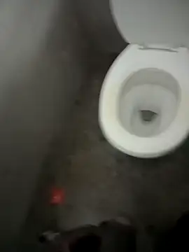 paptsimo online show from 12/13/25, 07:53