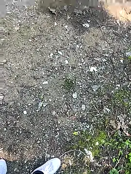 Snapshot of cihan_4141 chatting on 10/20/25, 08:59 cihan 4141 online show from 10/20/25, 08:59