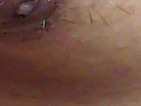 ChiseledCharm online show from 09/19/25, 02:51