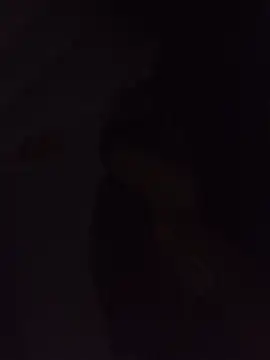 Sexxoophone online show from 07/03/26, 03:35