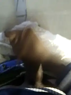 Snapshot of 92donis chatting on 11/20/25, 07:24 92donis online show from 11/20/25, 07:24