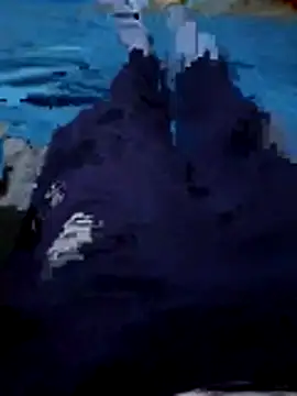 Snapshot of 92donis chatting on 12/01/25, 07:08 92donis online show from 12/01/25, 07:08