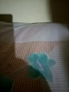 Nishi-2 online show from 09/25/25, 01:48