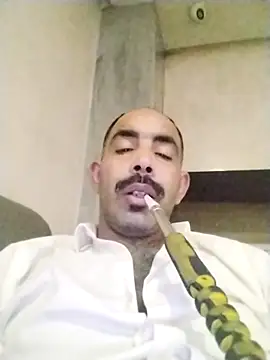 salimbasha online show from 11/29/25, 07:28