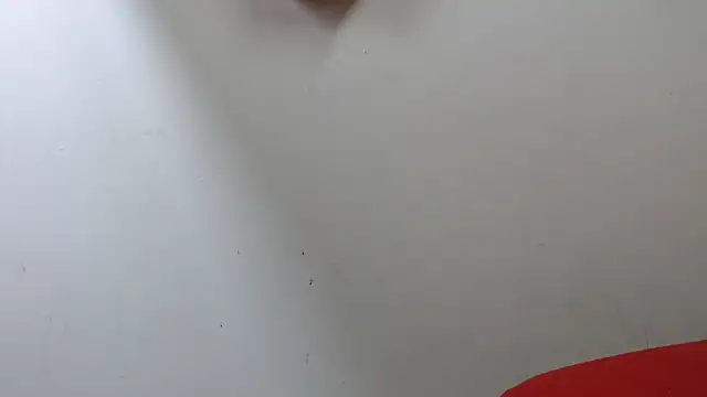 lola warner online show from 10/16/25, 03:40