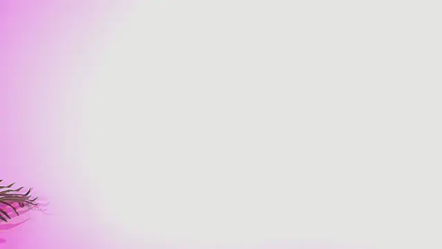 Lana ortega online show from 07/05/26, 04:52