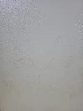 titooritax online show from 10/16/25, 09:49