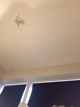 Snapshot of Sissy_Cindy_Whore chatting on 11/09/25, 02:04 Sissy Cindy Whore online show from 11/09/25, 02:04