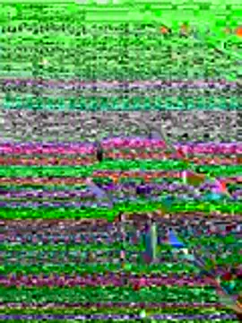 Snapshot of kamo012000 chatting on 06/19/26, 10:08 kamo012000 online show from 06/19/26, 10:08
