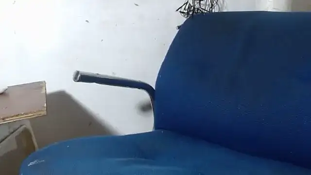 BebaFoxx online show from 11/26/25, 08:26